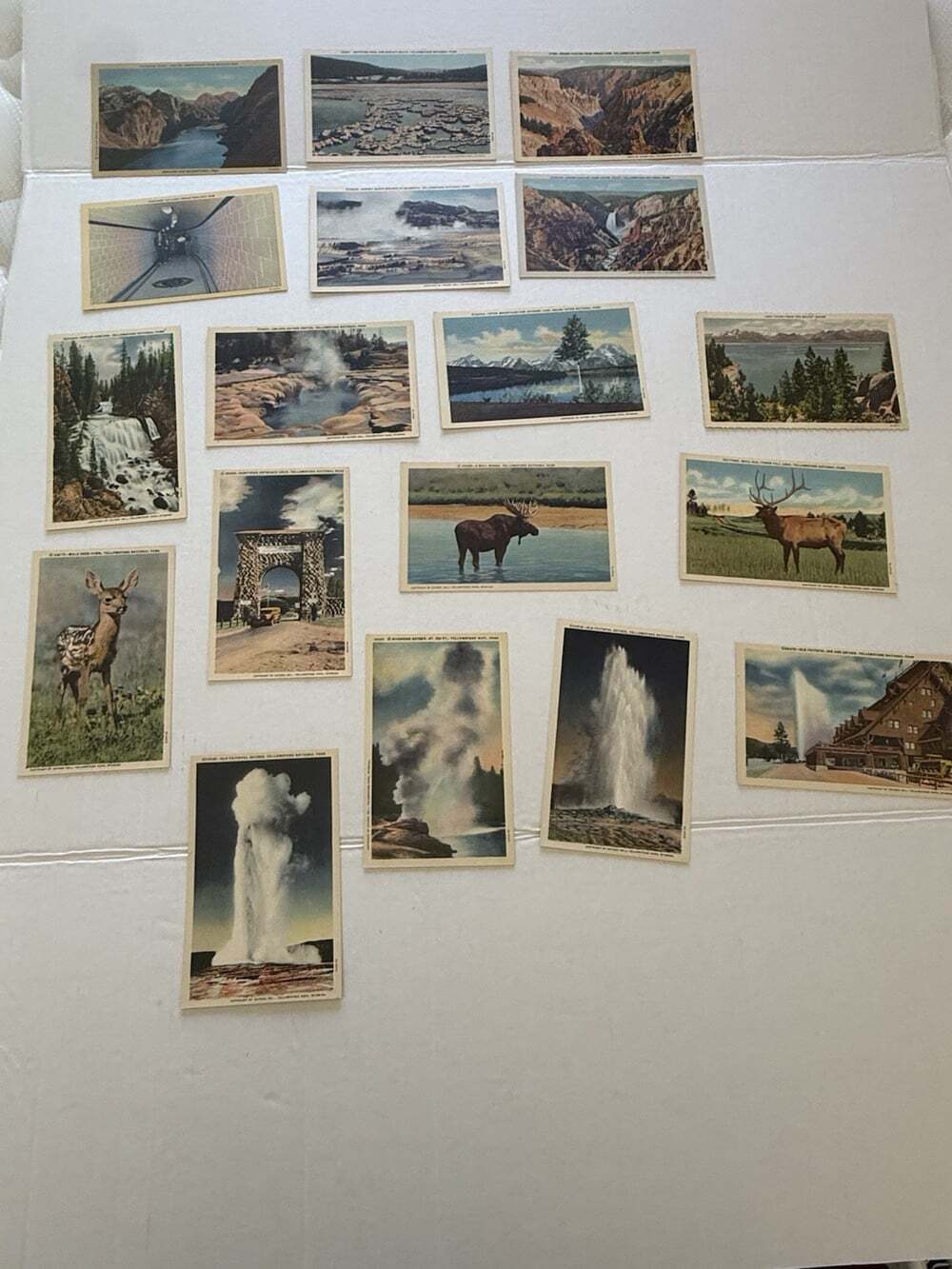 18 Vintage Yellowstone National Park Linen Postcards Unposted Old Faithful Wildl